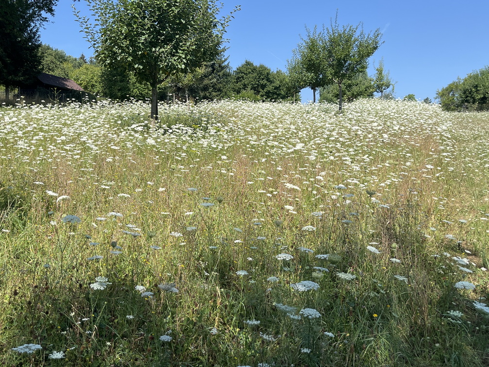 22-07-24 10-58-37 1694